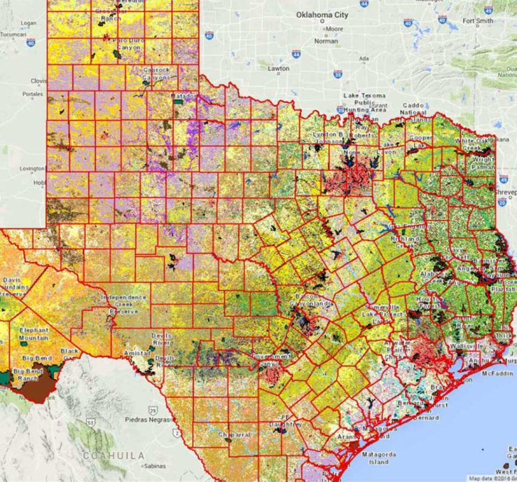 Texas Parcel Map