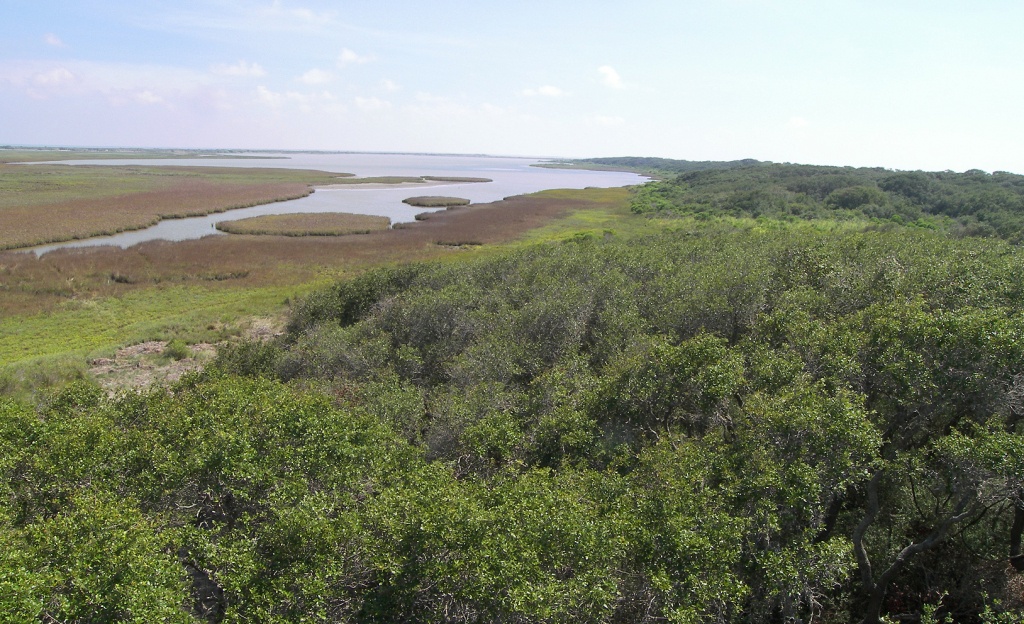 Great Texas Coastal Birding Trail - Wikipedia - Texas Birding Trail Maps
