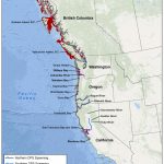 Green Sturgeon   Northern California Fishing Map