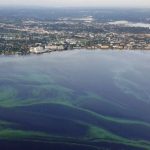 Interactive Map Shows Locations, Types And Toxicity Levels Of Algal   Toxic Algae In Florida Map