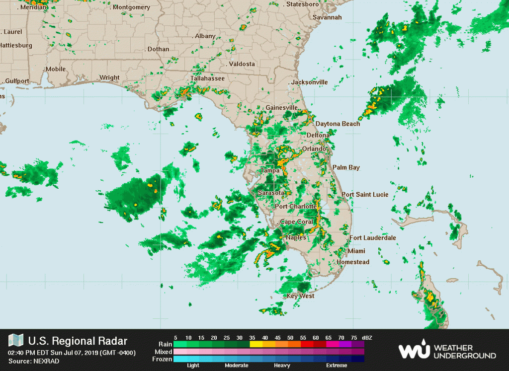 jacksonville weather radar in motion