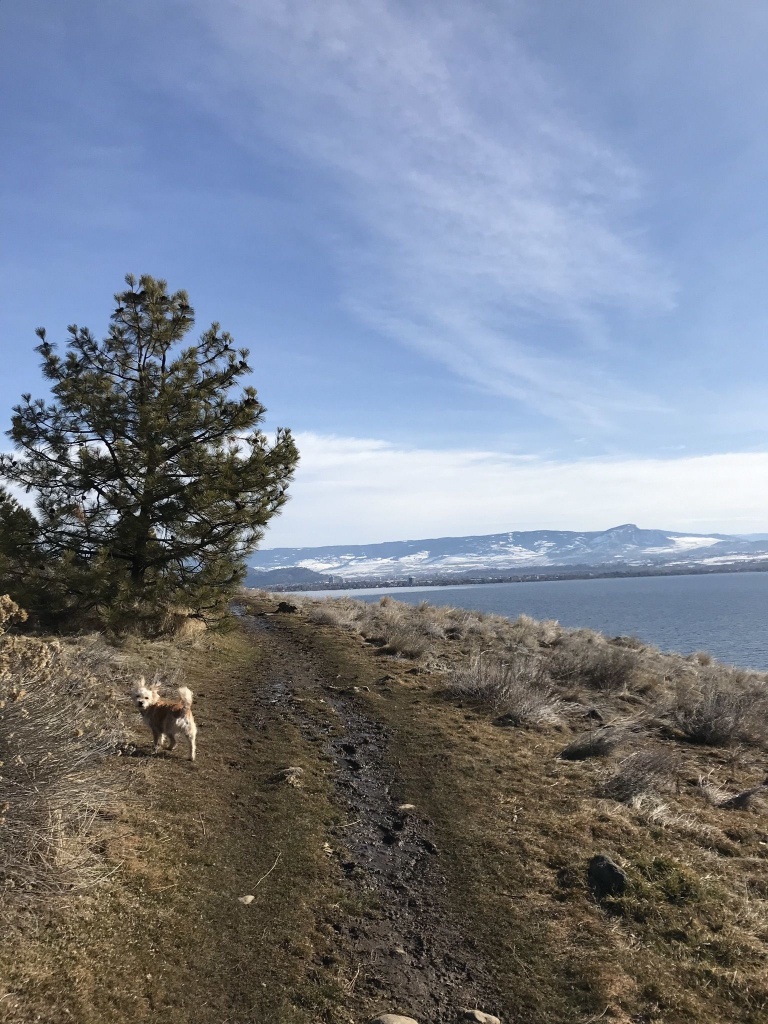 Kalamoir Regional Park Trail Loop - British Columbia, Canada | Alltrails - Printable Iditarod Trail Map