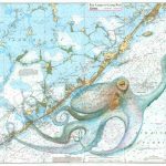 Keys Octopus   Florida Keys Nautical Map