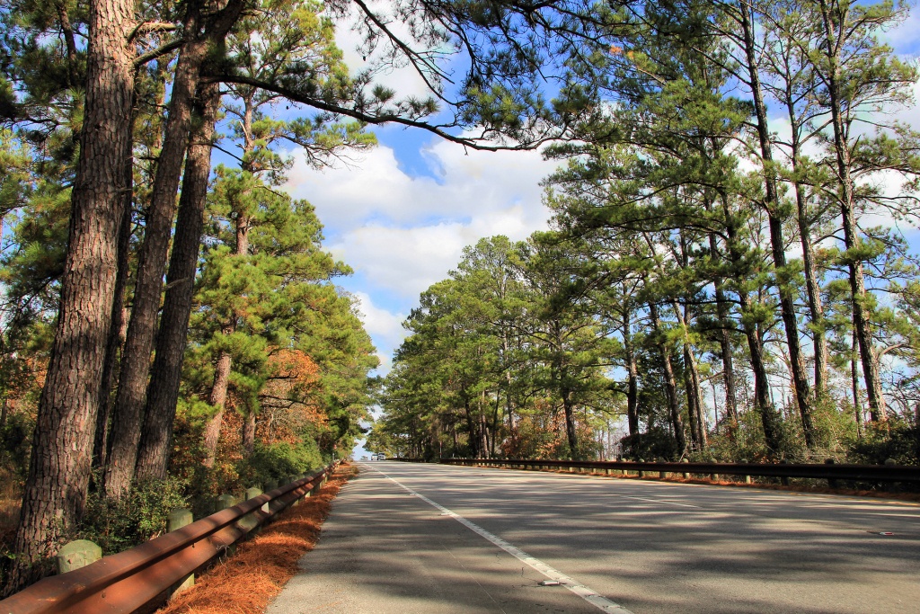 Lost Pines Forest - Wikipedia - Lost Pines Texas Map