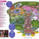 Magic Kingdom Guidemaps   Printable Maps Of Disney World Parks