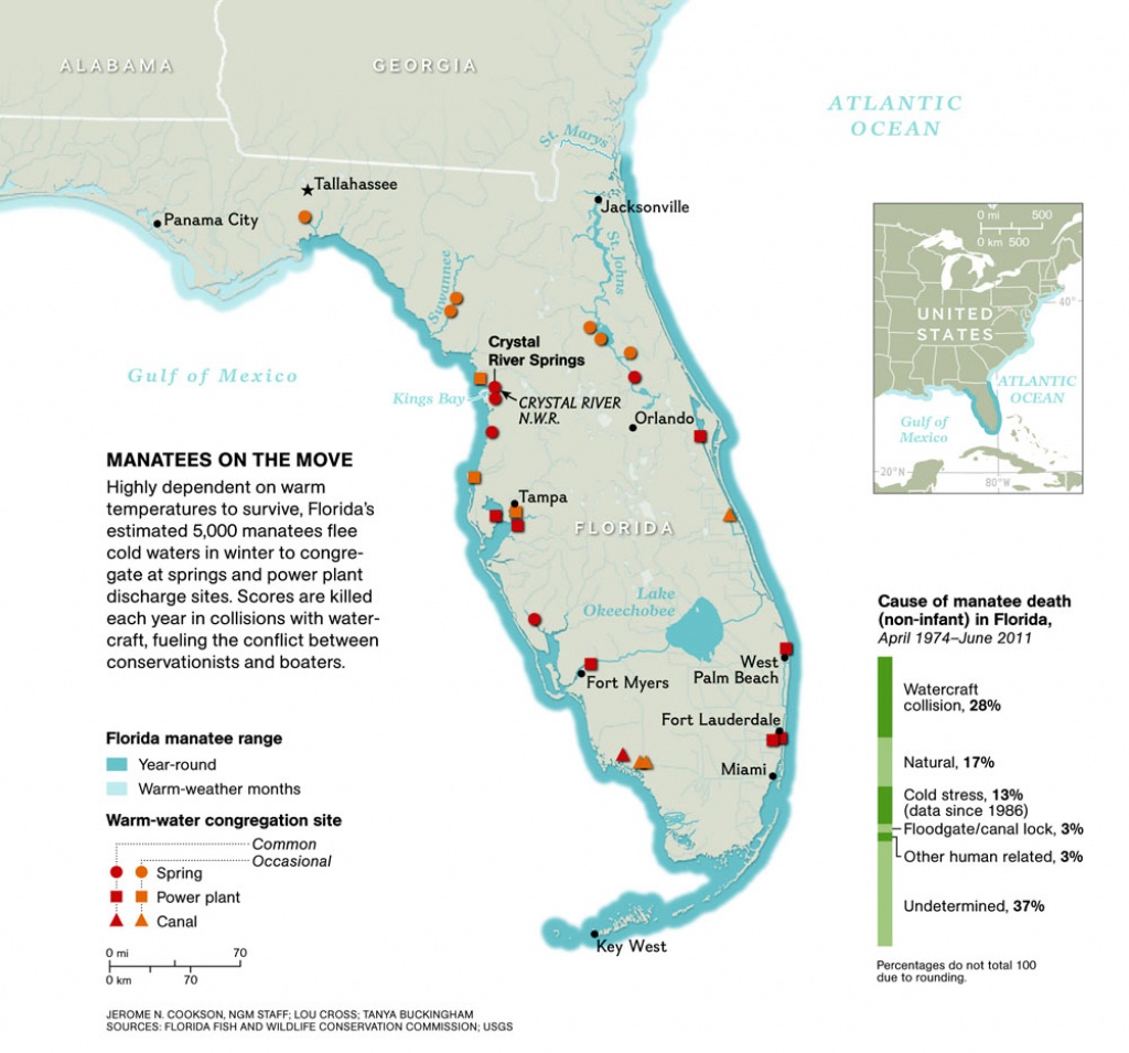 Manatee Invasion! – National Geographic Education Blog - Map Of All Springs In Florida