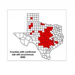 Map Gallery   Oak Wilt Texas Map