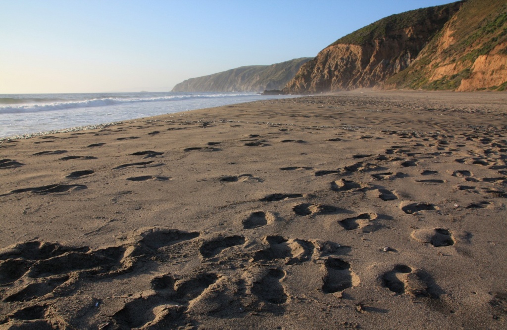 Map Of California Beaches - Northern California Beaches Map