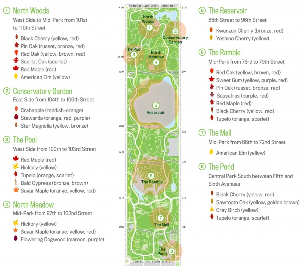 Map Of Central Park New Your City Central Park Zoo Attraction Free - Printable Map Of Central Park Nyc