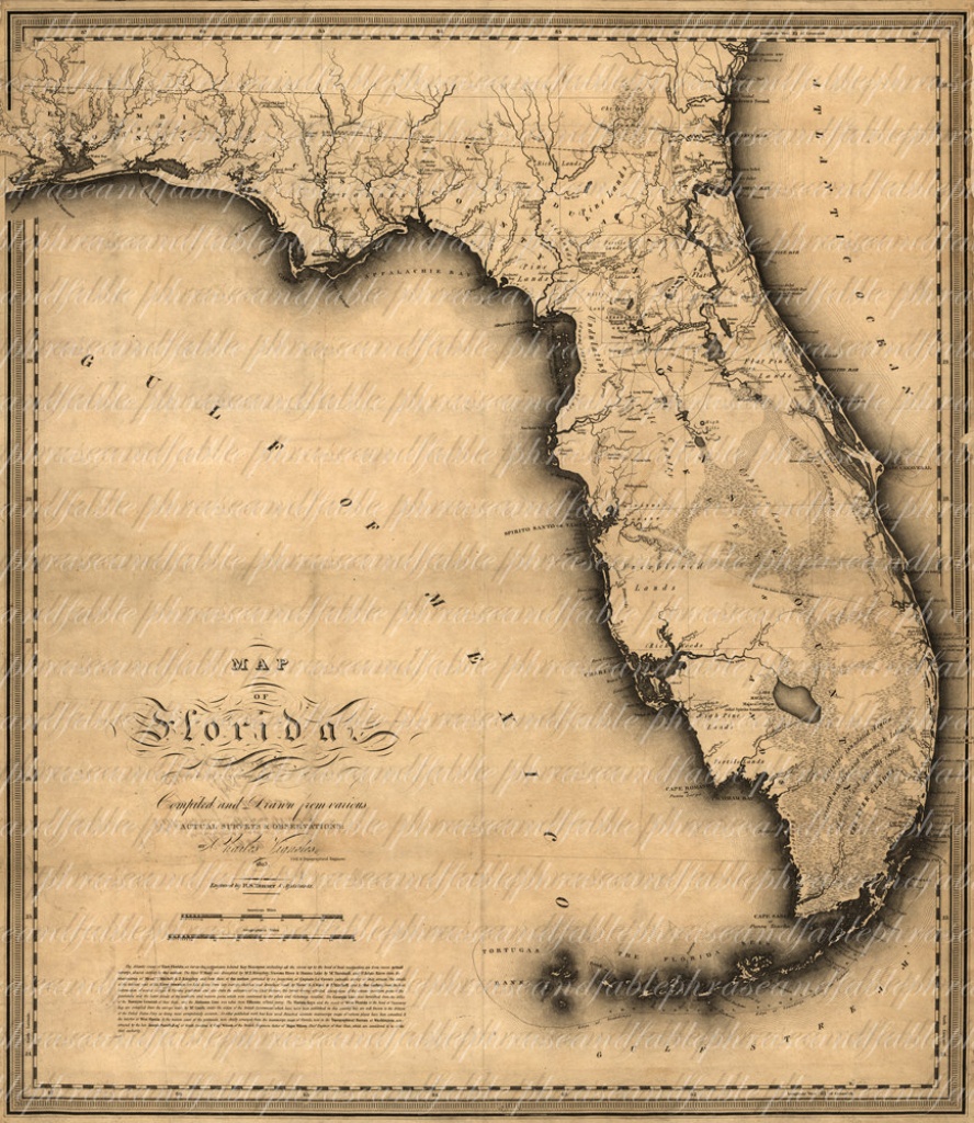 Map Of Florida From The 1800S 139 Ancient New World | Etsy - Florida Old Map