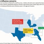 Map Of Georgia Flu | Download Them And Print   Flu Map Florida