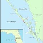 Map Of Sampling Area Off Sarasota, Fl Showing Locations Of A   Where Is Sarasota Florida On The Map