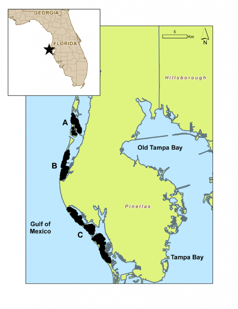 Map Of Study Area (Pinellas County Barrier Islands) | Download - Map Of Pinellas County Florida