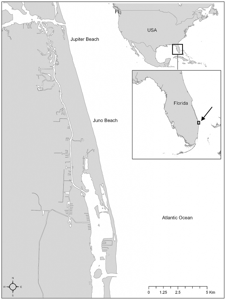 Map Of The Nesting Beach Extending Across Juno Beach And Jupiter - Juno Beach Florida Map