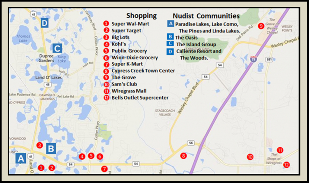Maps &amp;amp; Aerial Views | Buy Sell Nudist Homes Condos Lutz Lol Fl - Lutz Florida Map