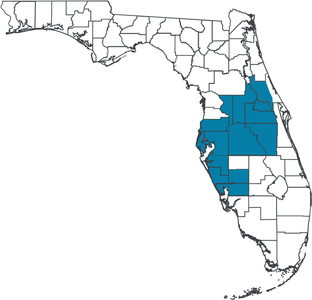 Mfrmls Websites: Digital Marketing Options For My Florida Regional - Mls Listings Florida Map