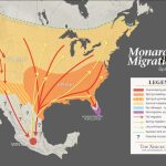 Monarch Butterfly Distribution Map   Monarch Butterfly Migration Map California