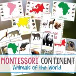 Montessori Animals And Continents Printables And Activities   Montessori World Map Free Printable