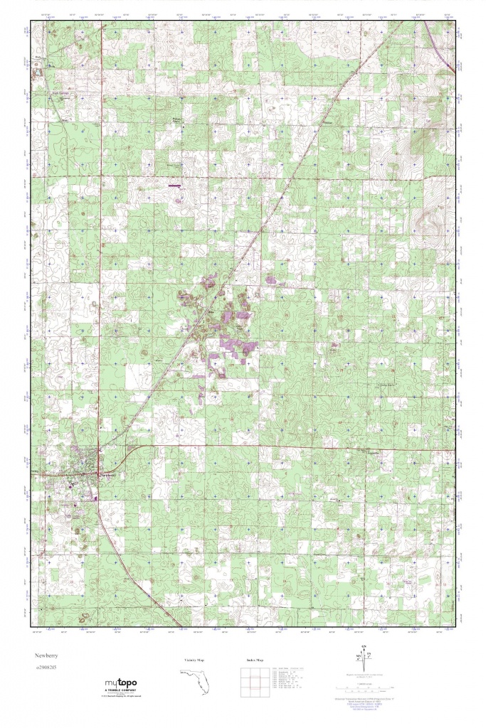 Mytopo Newberry, Florida Usgs Quad Topo Map - Newberry Florida Map