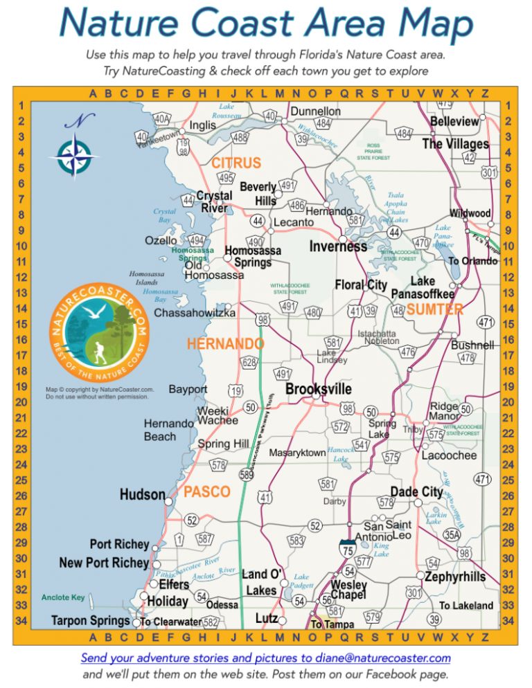Nature Coast Area Map Naturecoaster - Nature Coast Area Map Naturecoaster Spring Hill Florida Map 768x994