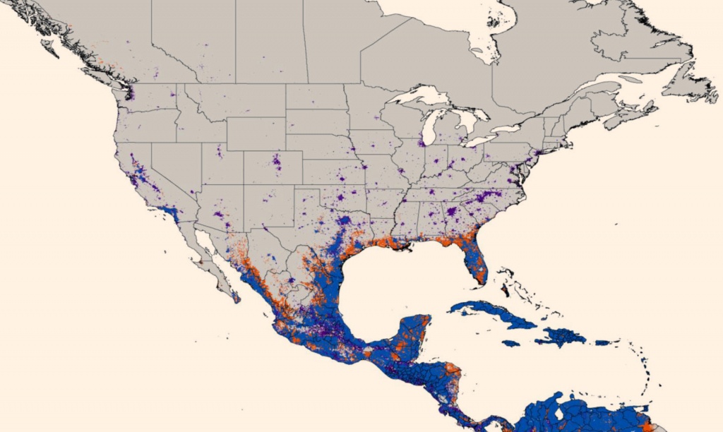 New Map Predicts Spread Of Zika Virus | Medicine | Sci-News - Zika Florida Map