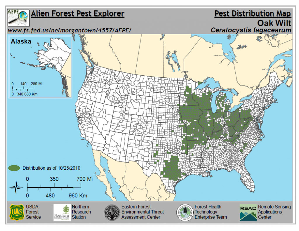 Oak Wilt | Wizard Landscaping And Tree Trimming - Oak Wilt Texas Map