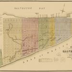 Old City Map   Galveston Texas Landowner   Labatt 1869   Texas Galveston Map