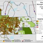 Orange Florida Water Management Inventory Summary | Florida   Orange County Florida Parcel Map