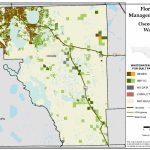 Osceola Florida Water Management Inventory Summary | Florida   Map Of Osceola County Florida