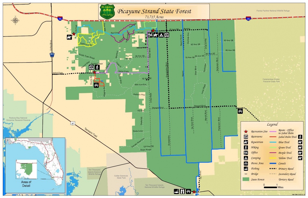 Picayune Strand State Forest / State Forests / Our Forests / Florida - Golden Gate Estates Naples Florida Map