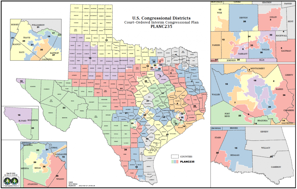 Political Participation: How Do We Choose Our Representatives - Texas Congressional District Map