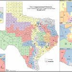 Political Participation: How Do We Choose Our Representatives   Texas District 25 Map