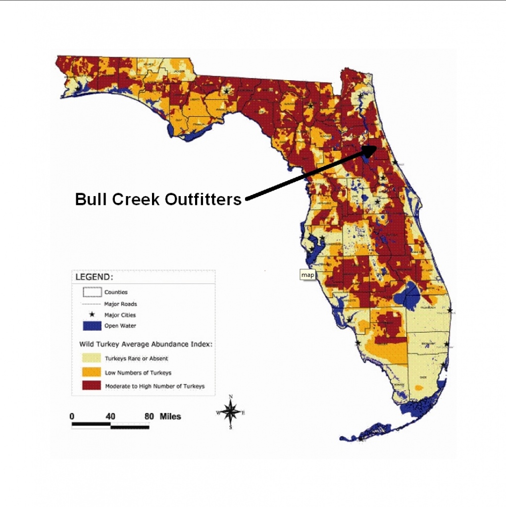 Florida Wild Hog Population Map Free Printable Maps