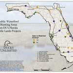 Public Hunting On Du Projects In Florida   Florida Public Hunting Map
