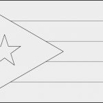 Puerto Rico Flag Outline | Sitedesignco   Outline Map Of Puerto Rico Printable