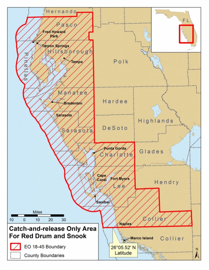 Current Red Tide Map Florida