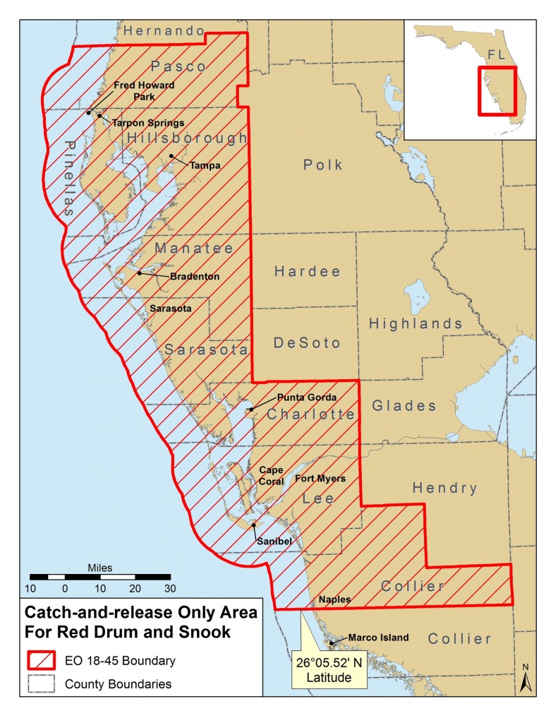 Red Tide Beach Cleanup - Current Red Tide Map Florida