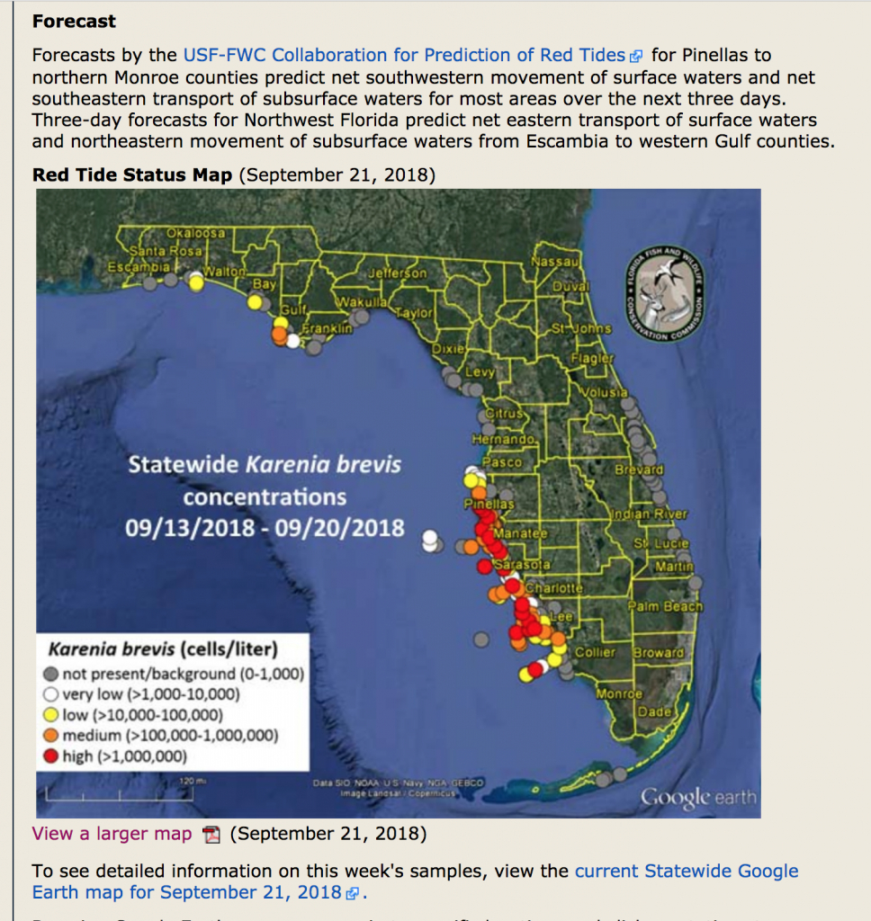 red tide florida beaches