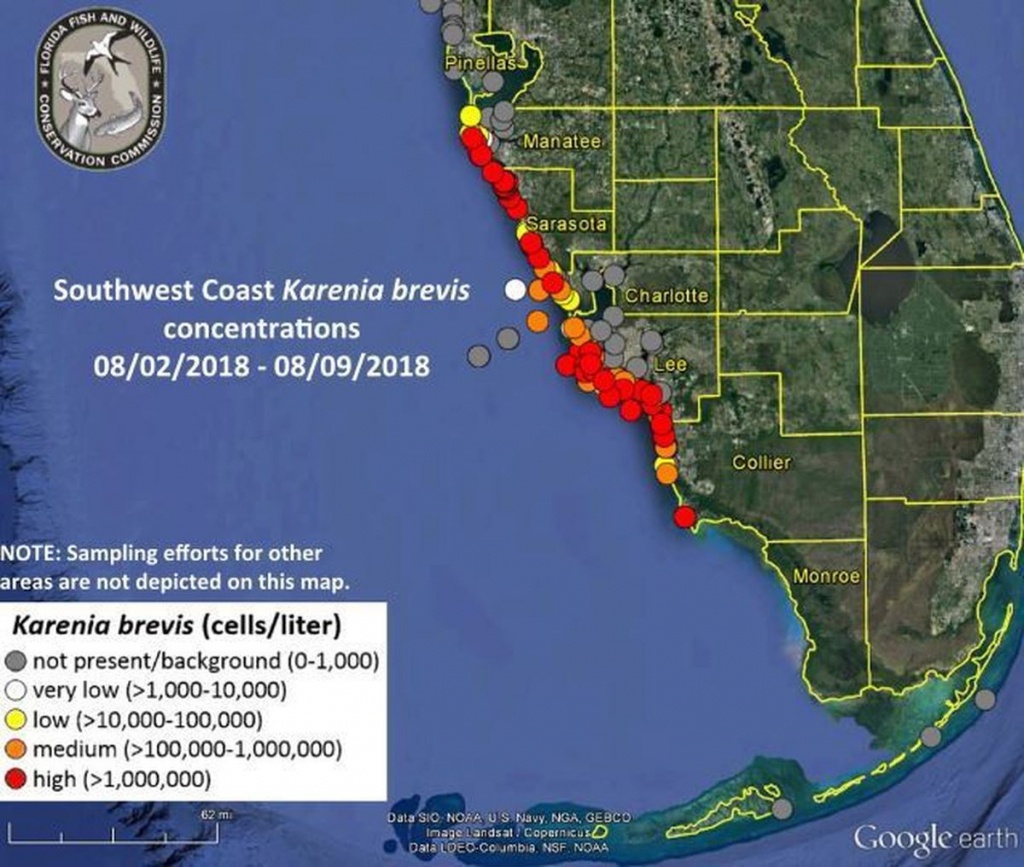 current-red-tide-map-florida-free-printable-maps