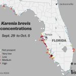 Red Tide: Why Florida's Toxic Algae Bloom Is Killing Fish, Manatees   Florida Blue Green Algae Map
