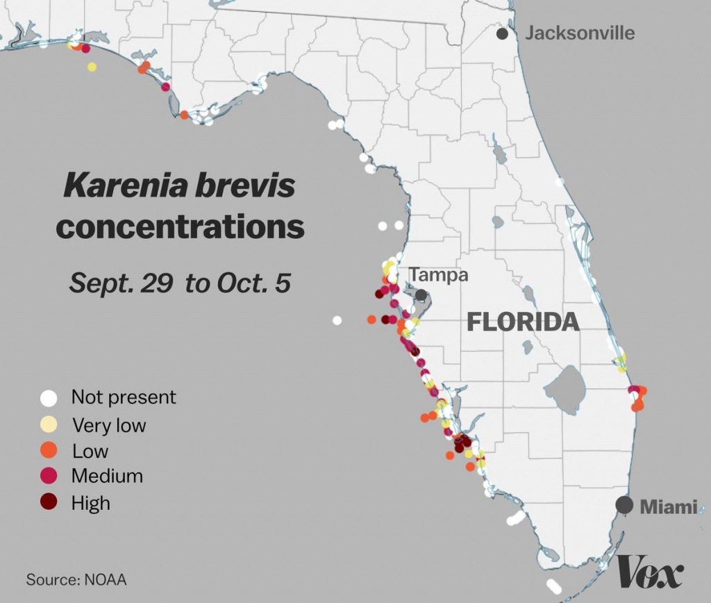 Red Tide: Why Florida&amp;#039;s Toxic Algae Bloom Is Killing Fish, Manatees - Florida Blue Green Algae Map