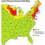 Researchers Compile Lyme Disease Risk Map, According To American   Lyme Disease In Florida Map