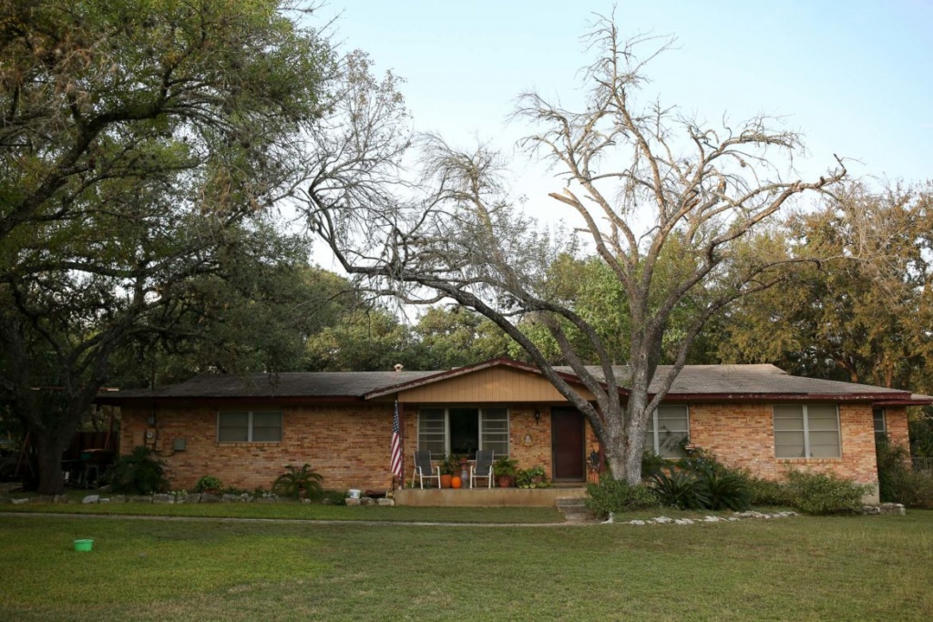 San Antonio, Surrounding Cities Work To Mitigate Oak Wilt Problem - Oak Wilt Texas Map