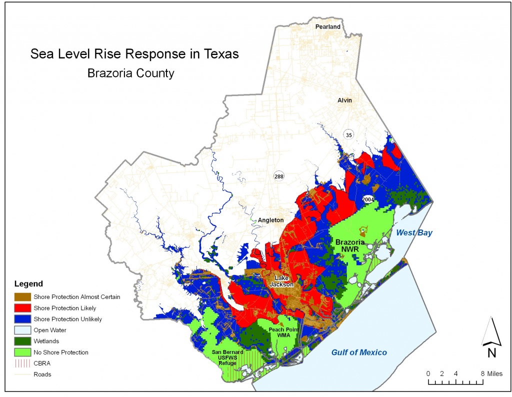 Sea Level Rise Planning Maps: Likelihood Of Shore Protection In Florida - Alvin Texas Map