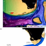 South Florida Reef Fish Visual Survey Domain. (A) Seafloor   Florida Reef Maps App