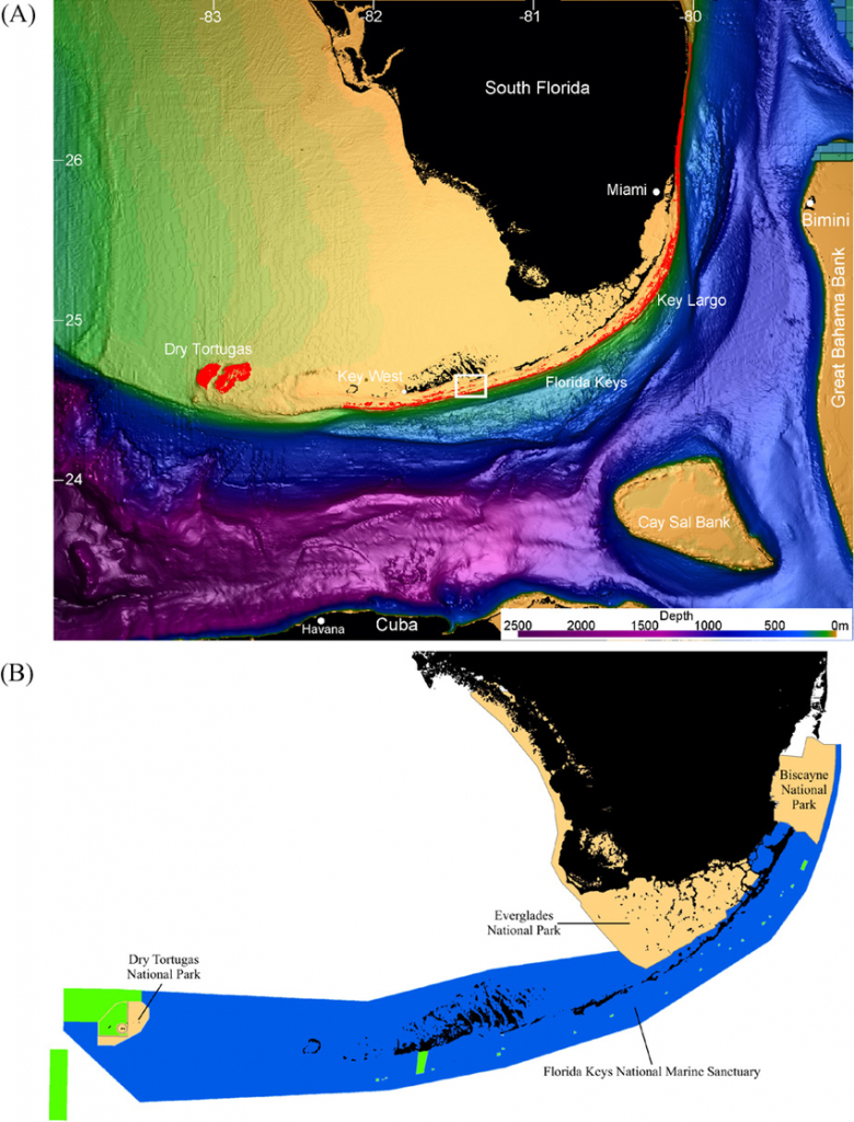 South Florida Reef Fish Visual Survey Domain. (A) Seafloor - Florida Reef Maps App