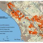 Southern California Mountain Lions' Genetic Connectivity Dangerously   Mountain Lions In California Map
