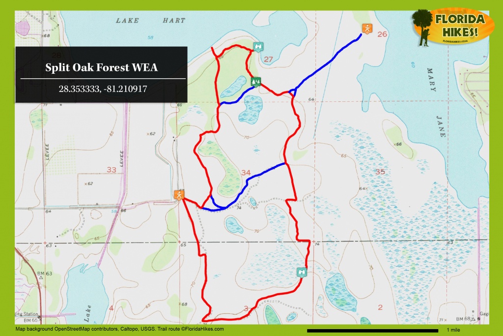 Split Oak Forest Wea | Florida Hikes! - Central Florida Bike Trails Map
