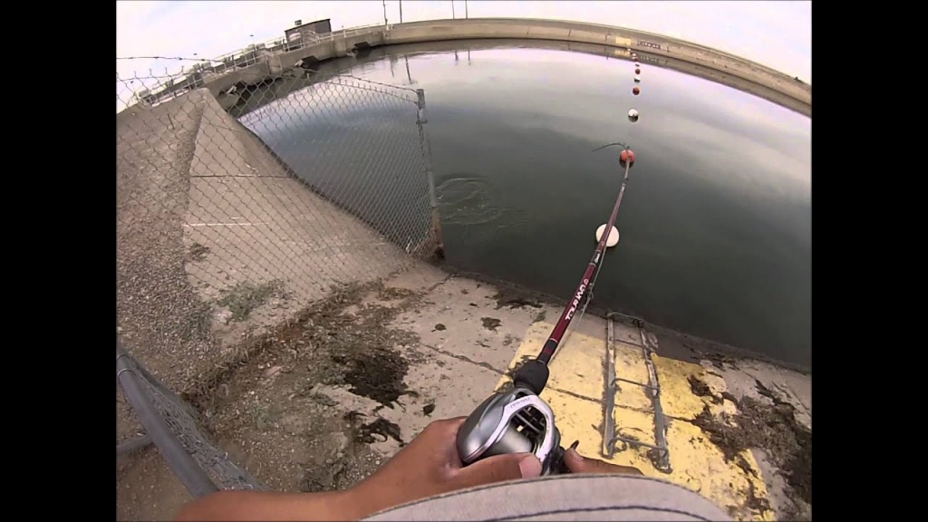 Striper Fishing Kettleman City (California Aqueduct) - Youtube - California Aqueduct Fishing Map