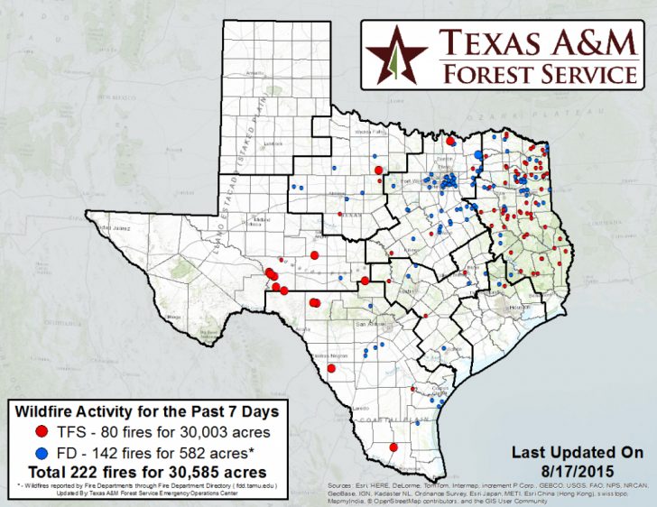 Texas Forestry Fire Map